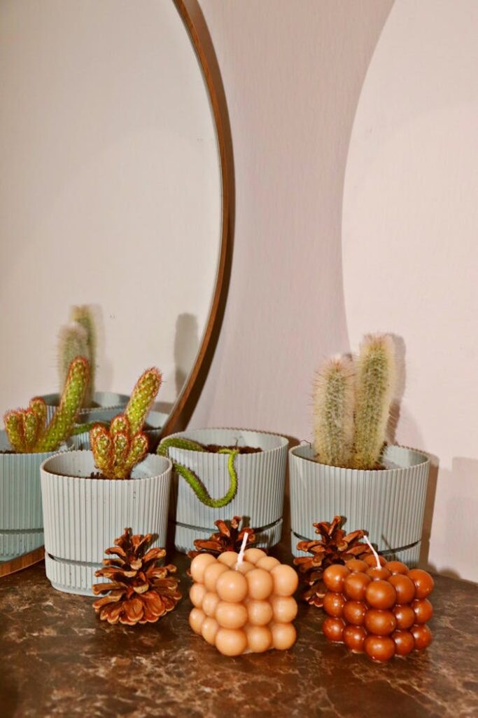Decorative Candles Pine Cones and Pots with Cacti on the Next to the Mirror